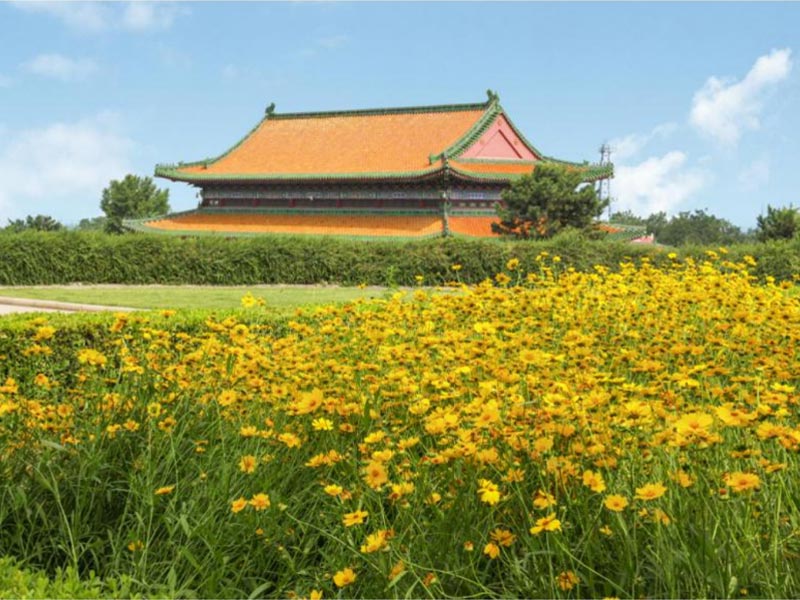 绿地花丛